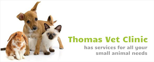 thomas_vet_clinic